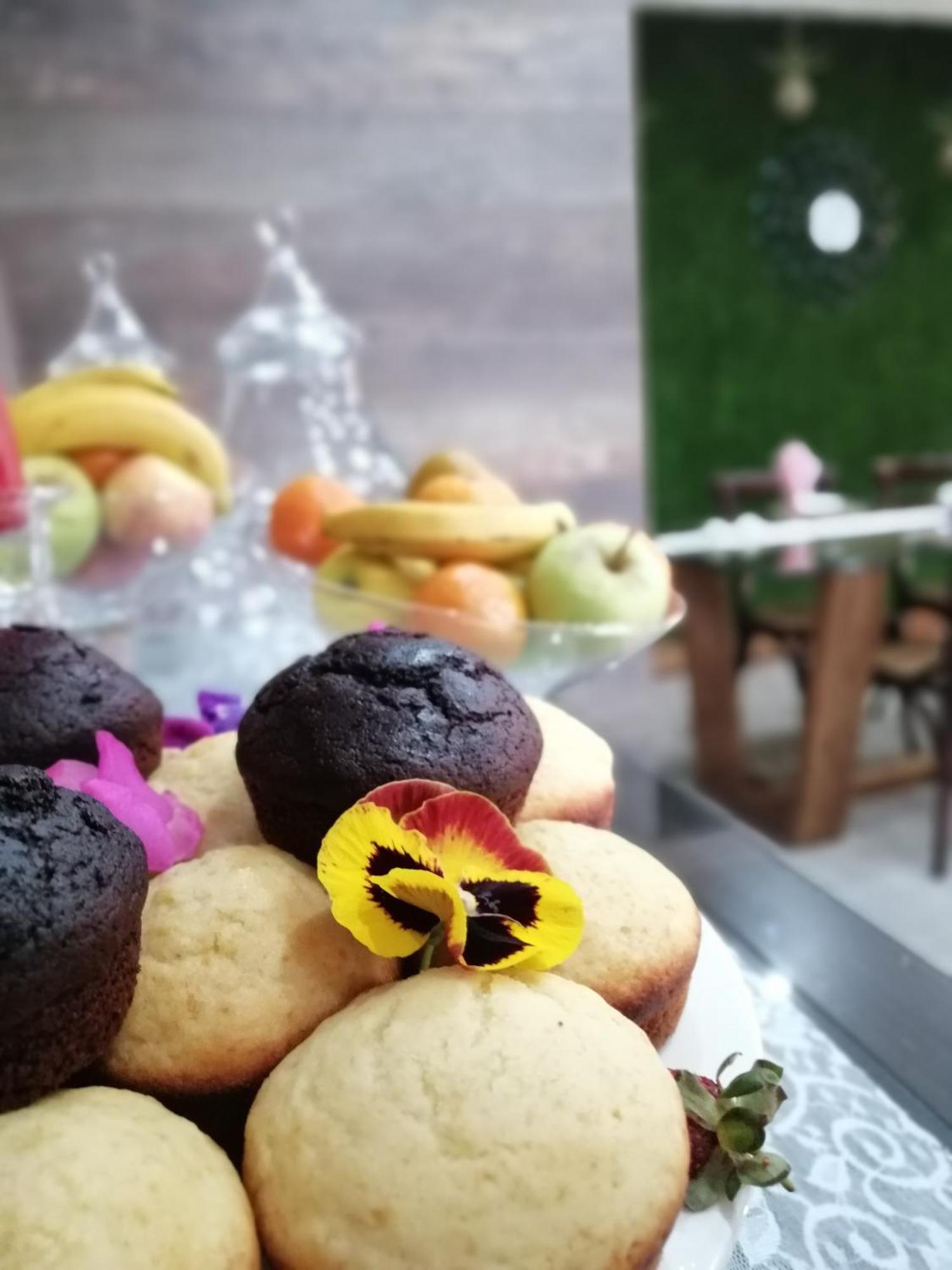Diamond Rose Guest House 미델뷔르흐 외부 사진