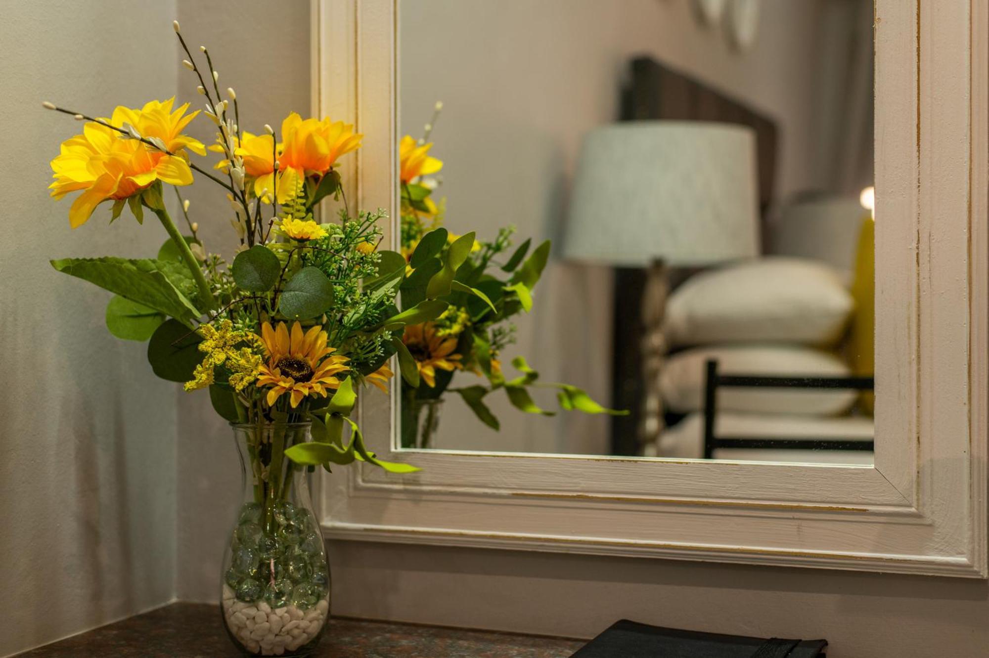 Diamond Rose Guest House 미델뷔르흐 객실 사진